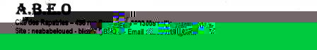 ABEO_22-01-2013_B_4.jpg